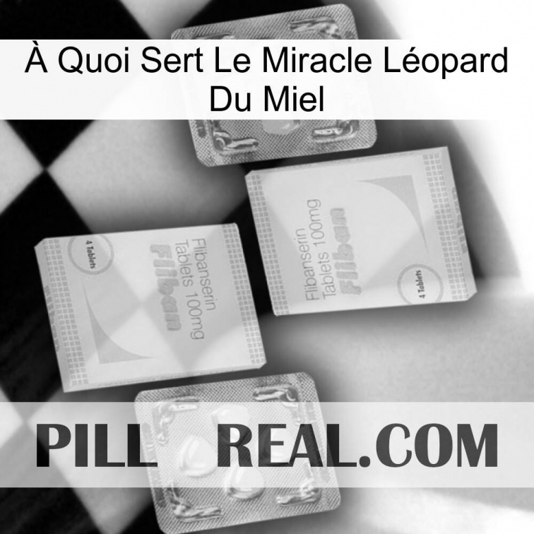 À Quoi Sert Le Miracle Léopard Du Miel 33